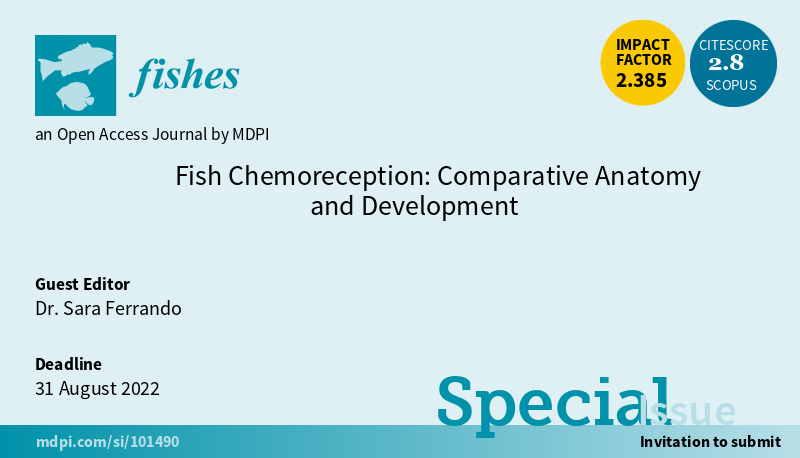 fish chemoreception